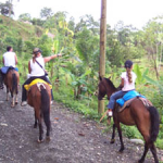 Caballos2
